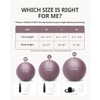Trideer Yoga Ball for Pregnancy Office Ball Chair– Exercise Ball