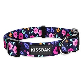KISSBAK Dog Collar for Medium Dogs - Special Design Cute Small Medium Large Girl Dog Pet Collar Soft Adjustable Fancy Floral Boy and Girl Puppy Collar (Floral, M)