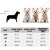 Dog Harness and Leash Set, XXS No Pull Adjustable Puppy
