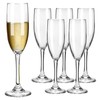 HAKEEMI Champagne Flutes Set of 6, Classic Champagne Glasses Bulk,