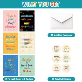 HOMANGA Farewell Cards for Coworker, 12 Pack Going Away Cards with Envelopes and Stickers, Goodbye Card Set for Office Colleagues, Retirement, New Job, Moving Away (Colorful Style)