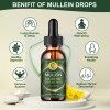 2 PACK Mullein Drops for Lungs, Detox and Cleanse Mullein