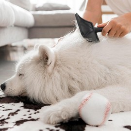 Dog Slicker Brush for Shedding and Grooming Medium or Large Cats, Extra Long & Soft Pins, Removes Loose Hair, Tangles, Knots, Undercoat, Large, Black