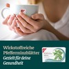 H&S Peppermint Leaves: Medicinal Tea No. 25 Peppermint Tea for