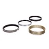 Hastings 2M5528065 Piston Ring Set