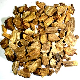 Nelson's Tea - Burdock Root (Arctium lappa) - 2 oz.
