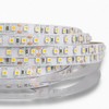 Mextronic LED Strip/LED Strip, Warm White, 24 V, 48 W,