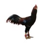 Dolphin Shop- Fabric Tapes Gloves Chicken Poultry Botas para Gallos
