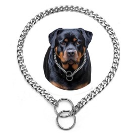 Dog Collars for Medium Dogs, Dog Chain Collars Slip P Chain Metal Link Training Heavy Duty Martingale Dog Collar for XS Small Medium Large Big XL Breed Dogs, S