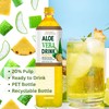 Nature's Goodness Aloe Vera Drink with Pulp Pineapple Flavor -12