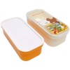 Square Bear School 2-Tier Lunch Box KS21-4 The Bears School