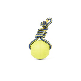 2.5 Inch Durafoam Fetch Ball, Rope Toy for Healthy Exercise and Fetching