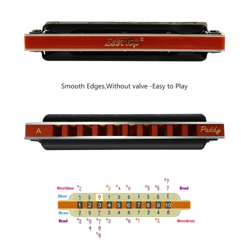 East Top 10 Holes 20 Tones 008K Blues Professional Diatonic