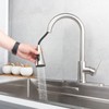 Kohonby Single Handle Kitchen Faucet with Pull Down Sprayer Modern