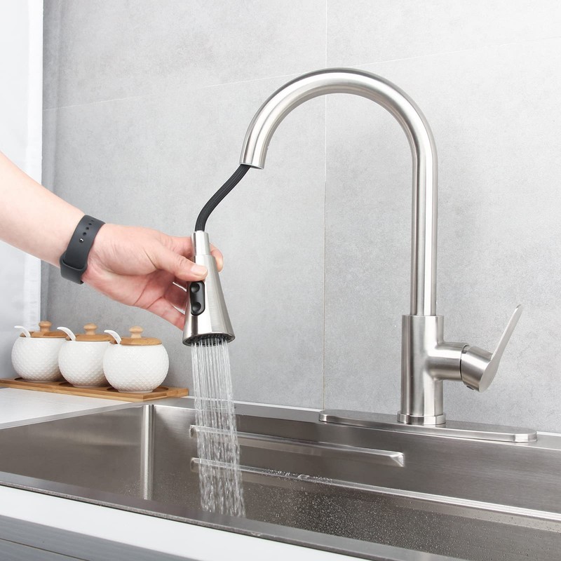 Kohonby Single Handle Kitchen Faucet with Pull Down Sprayer Modern
