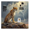 Suplemento Creatina Glutamina Polvo Stormcheetah 1kg 50ser