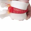 BoNew 1:1.5 Anatomical Human Lumbar Vertebrae Degenerative Lumbar Human Spine