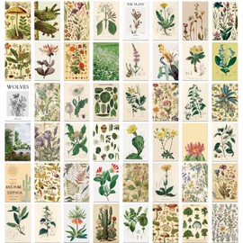 50 Fresh Art Decorative Landscape Postcards Wall Cards, Home Decoration Postcards, Scrapbook Decoration Cards Blessing Greeting Cards Invitation Cards Postcards (Botanical Postcard)