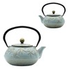 SECHUDO Cast Iron Teapot Tea Kettle with Stainless Steel Infuser