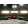 MIRRORANG Boxing Backdrop for Potography Boxing Fight Sadium Cheer Adudienc