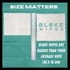 Bloke Wipes Flushable Wipes For Men (1 Pack, 40 wipes)