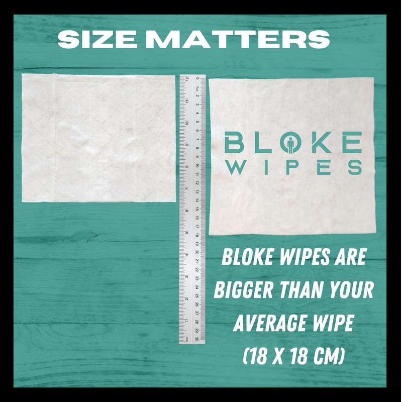 Bloke Wipes Flushable Wipes For Men (1 Pack, 40 wipes)