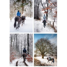 Equestrian Christmas Greeting Cards, Pack of 12