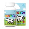 Real Leaf Real Colostrum Chewable 1500 120 tablets, 1 piece / 리얼리프 리얼초유 츄어블1500 120정, 1개