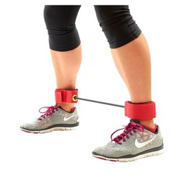 Champion Barbell Premium Light Lateral Resistor