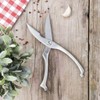 Poultry Shears Stainless Steel 25 cm Long
