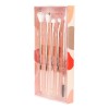 Set De Brochas Professional Eye Set Beauty Secrets 5 Pzas