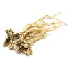 (자연초)국산 황기 4년근 통황기 200g (Korean) Domestic Astragalus 4-Year-Old Whole