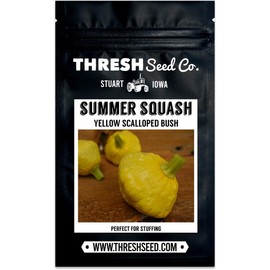 Yellow Scalloped Bush Squash - 25 Seeds