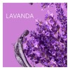 Jabón Zest Lavanda paquete 5 barras de 90g c/u