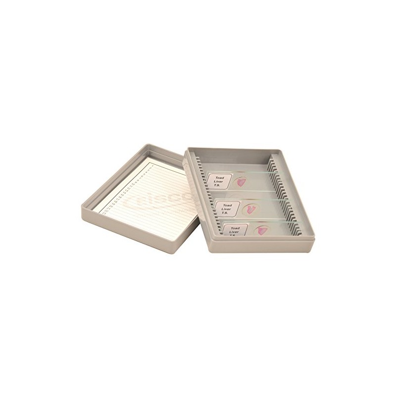 Eisco Labs Slide Box, Polystyrene, 25 Slides