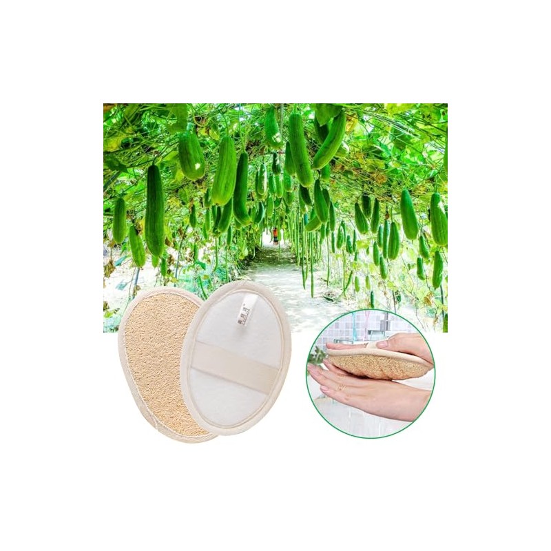 Esponja de luffa natural exfoliante corporal (4 unidades), hecha de