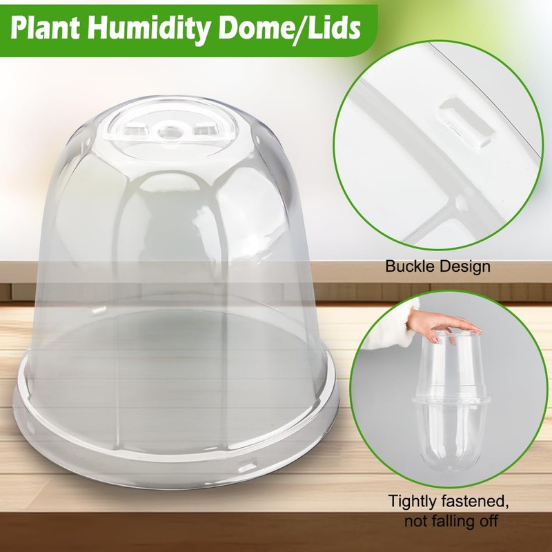 RooTrimmer 6 Inch Clear Humidity Dome, 30 Pcs Adjustable Plant