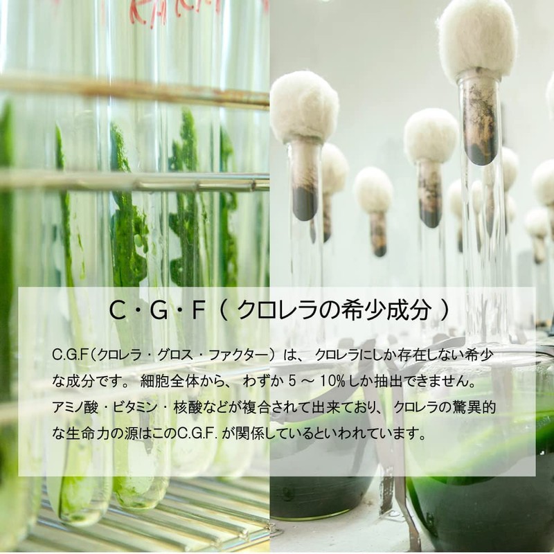 八重山クロレラ【ミニボトル300粒入】無添加 100％ ヤエヤマクロレラ [ ピュアクロレラ]