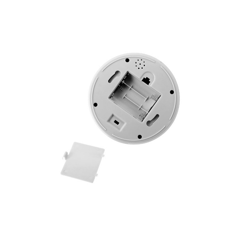 BW Outdoor Indoor Fake Imitation IR Dome CCTV Blinking Red