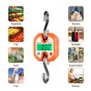 Rhorawill Luggage Scales Crane Scale 150kg Double Accuracy Electronic Digital