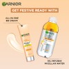 Garnier Skin Naturals B.B Cream - 18g