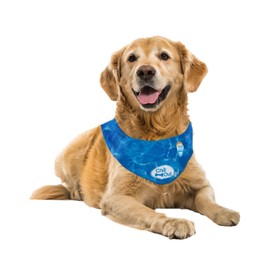 All FOR Paws Envolturas de Cuello para Perros, Bandanas de Hielo para Perros, Bandana de refrigeración para Perros, Collar de Perro, Enfriador de Cuello, refrigeración de Cuello (XL)