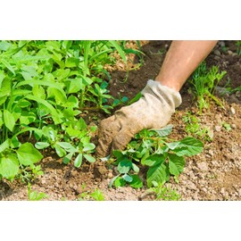 CooKuuEud Two piece set of knitted gloves, sports gloves, gardening gloves, industrial gloves, one size suitable for solid color men and women, winter classic