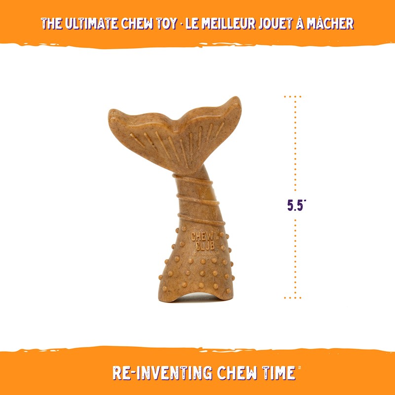 Power Bone Pet Chew Toy for Dogs - Durable, Non