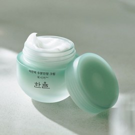 HANYUL Pure Artemisia Watery Calming Cream 55ml