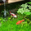 Toddmomy Ceramic Floating Fish, 3pcs Aquarium Floating Goldfish Frog Koi