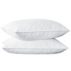 puredown Quilted Goose Feather, Set of 2 White, Standard Queen