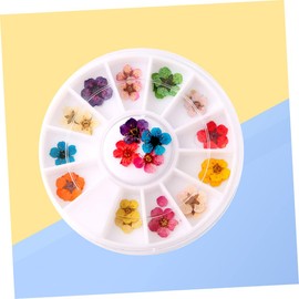 Healvian Colorful Dried Flower Nail Art Supplies Petal Plum Blossom Stickers for Creative Manicure Easy to Carry for Nail Art Enthusiasts