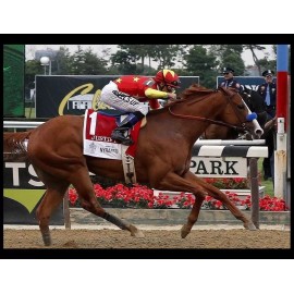 Justify Belmont Stakes PHOTO Horse Race Triple Crown Winner 2018 Kentucky Derby