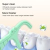 LIAMOSS Green Mint Dental Floss Picks, 2 Portable Travel Cases